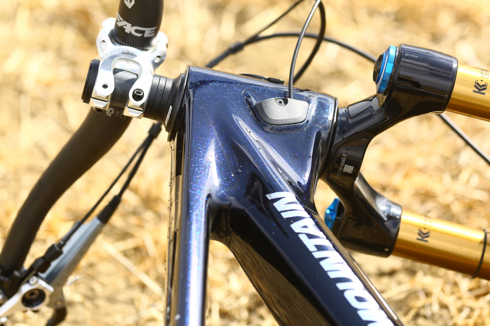 2025 Rocky Mountain Custom Build - sjudge1106's Bike Check